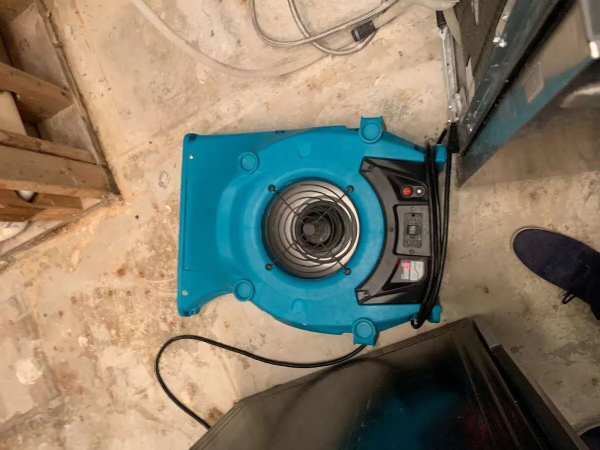 Air mover drying equipment for Mold Remediation & Removal in Longboat Key